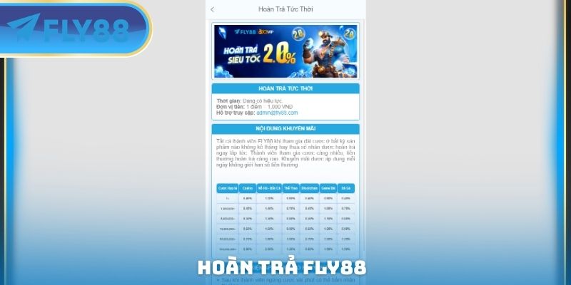 ảnh đại diện hoàn trả fly88